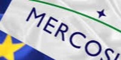 Acordo Mercosul-UE deve favorecer agro que opera com sustentabilidade, dizem especialistas