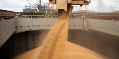 Anec eleva projeções de exportações de soja, milho e farelo de soja do Brasil em julho