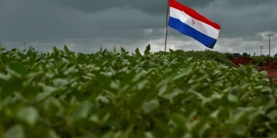 Clima favorece soja no Paraguai e produção pode superar 11 milhões de toneladas em 2026