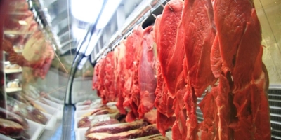 Exportações de carne bovina recuam em julho com freio da China; Média diária é a menor de 2026