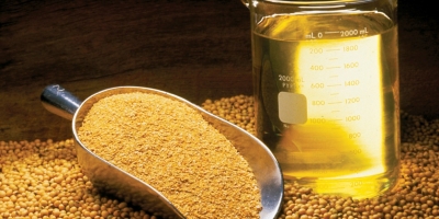 Produtos do esmagamento de soja ampliam diversificação de mercados e geração de valor na cadeia agroindustrial