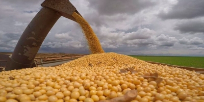 Produção de grãos e área plantada da safra 2025/26 mantém perspectiva de novos recordes