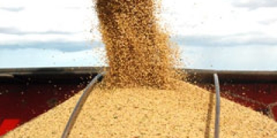 Colheita de soja do Brasil atinge 1,39% da área total, diz Pátria AgroNegócios