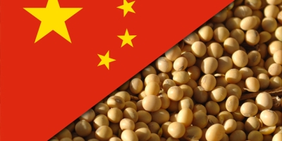 Royal Rural: China começa a comprar soja americana