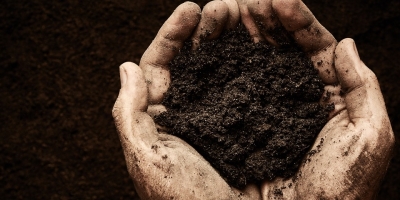 Como a MerX está transformando rastreabilidade e dados agrícolas em receita para usinas e produtores rurais