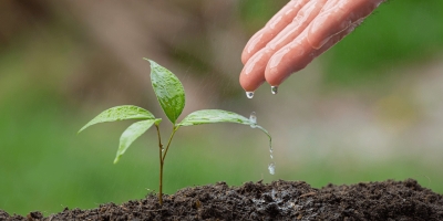 Reg.IA reúne líderes do mercado para discutir remuneração da agricultura regenerativa no Brasil