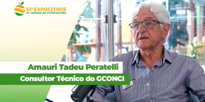 Citricultor não fecha as contas com os atuais preços pagos pela laranja; problema é global