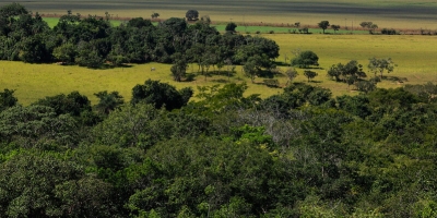 Pineda e Krahn promove encontro estratégico sobre regularização ambiental no agro