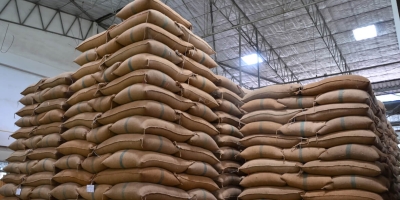Capacidade de armazenagem cresce no Brasil, mas avanço segue abaixo do ritmo da produção de grãos