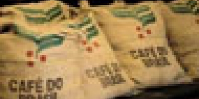 Exportação de café do Brasil avança 48,5% no início de agosto, milho recua 32%, diz Secex