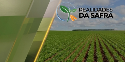 Realidades da Safra Edição 17-06-2026 - Íntegra do Programa
