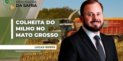 Colheita do milho começa a ganhar ritmo no Mato Grosso com perspectiva de altas produtividades