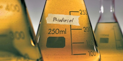 Mistura maior de biodiesel segue em debate e setor cobra avanço do B16 no Brasil