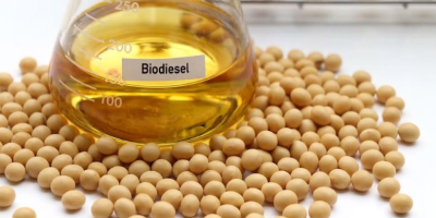 Biodiesel amplia demanda por soja e abre novas frentes para processamento e geração de valor no Brasil