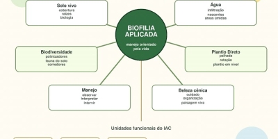 Biofilia aplicada na agricultura, por Prof. Afonso Peche Filho