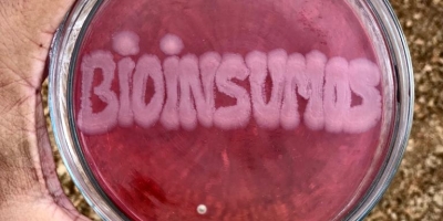 Bioinsumos são os grandes vencedores com aprovação do Profert
