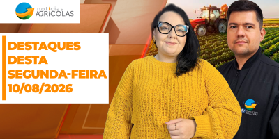 Exportações de milho e frutas melhorando, importações de trigo aumentando e soja nos R$ 150 nos portos