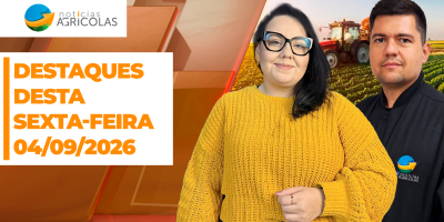 Vendas de soja e milho avançam no Brasil; exportações do grão e de carne bovina recuam em agosto
