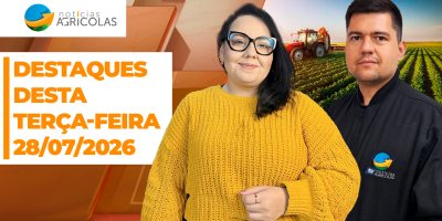 Boa Tarde Agronegócio - Confira os principais destaques desta terça-feira (29)