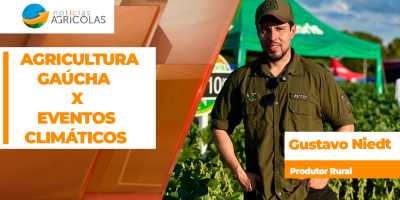 Os desafios da agricultura gaúcha diante dos eventos climáticos