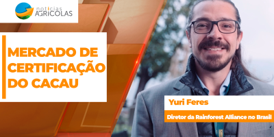 Mercado de certificação do cacau