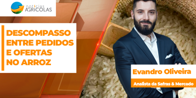 Mercado do arroz travado com produtores pedindo R$ 80,00 a saca e indústria oferecendo apenas R$ 68,00
