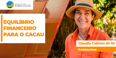 Produtor de cacau possui dificuldade em encontrar equilíbrio financeiro sem produtividade