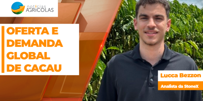 Oferta e Demanda global de cacau