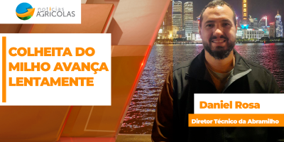 Abramilho destaca colheita do milho avançando lentamente e alerta para problemas de qualidade do grão