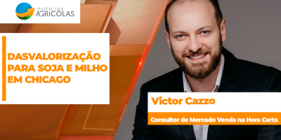 Semana de alta volatilidade em Chicago chega ao fim com desvalorização para soja e milho