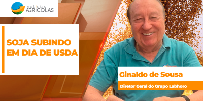 Soja tem boas altas em Chicago nesta 5ª feira, mesmo com USDA trazendo poucas novidades