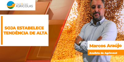 Soja inverte o sinal, fecha positiva e estabelece tendência de alta em Chicago com clima preocupando nos EUA