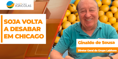 Soja desaba mais de 30 pts em Chicago, perde os US$ 12, preços caem também no Brasil e trava negócios nesta 4ª feira