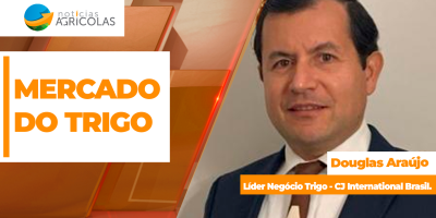Conflitos internacionais deixam mercado global do trigo em alta volatilidade