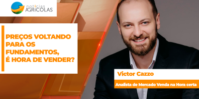 Soja: Preços voltando para os fundamento, é hora de vender?