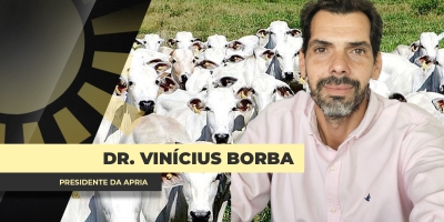 ENTREVISTA BOM DIA AGRO COM - Dr. Vinícius Borba Advogado