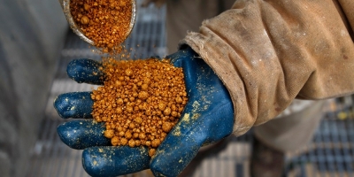 Inpasa abre nova rota de exportação de DDGS para o mercado chinês