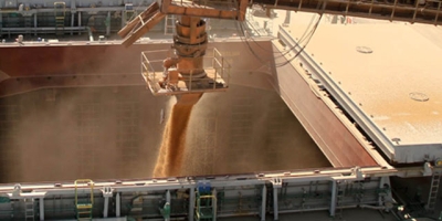 USDA: Vendas semanais de soja, milho e trigo para exportação ficam dentro do esperado