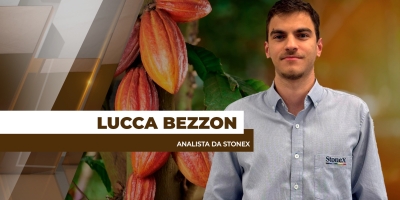 Mercado de Cacau passa por momento de volatilidade de olho nos impactos do El Nño