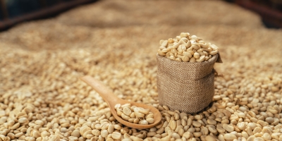 Exportações mundiais de café verde aumentaram 6,3% em julho, diz OIC