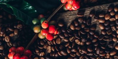 Preços do café mantém volatilidade nas bolsas internacionais na manhã desta 5ª feira (22)