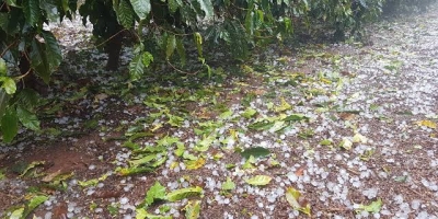 Ciclone e frente fria levam chuva, ventos e granizo a áreas produtoras de café