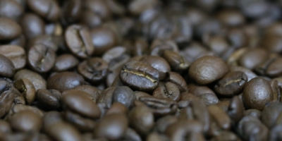 Café reage após baixas recentes e fecha com altas de até 2,25% em NY