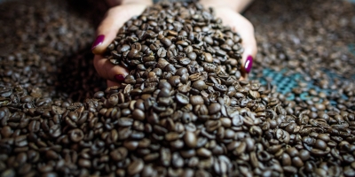 Café abre a segunda-feira realizando lucros em Nova Iorque