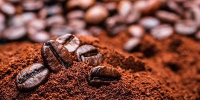 Café: Oferta do Brasil e clima favorável pressionam NY, e arábica perde mais de 2% nesta 3ª feira (8)