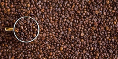 Café fecha nas mínimas em 19 meses com perdas de mais de 2% em NY nesta 5ª