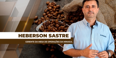 Início do período da colheita de café sob chuva deixa setor em atenção e impacta preços internacionais
