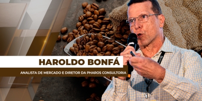 Colheita avança e mercado busca direção para os preços do café