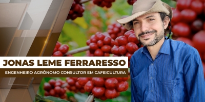 Chuvas em excesso prejudicam os manejos adequados das lavouras de café