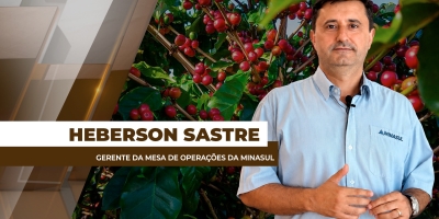 Preços baixos do cacau exigem que produtores busquem novas formas de comercialização